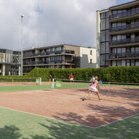 Viešbučio VANAGUPĖ teniso kortai