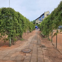 Palangos sporto centro teniso kortai